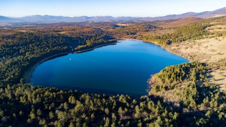 Petelinjsko jezero